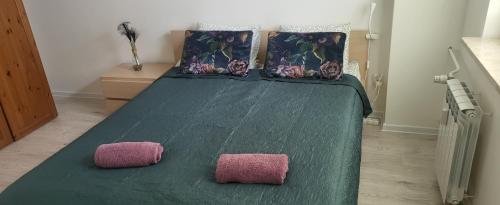 zielone łóżko z 2 różowymi poduszkami w obiekcie Apartament Busko-Zdrój - Zosia w Busku Zdroju