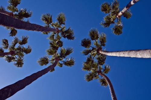 Φωτογραφία από το άλμπουμ του The Avalon Hotel in Catalina Island σε Avalon