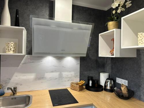 uma cozinha com um balcão com um lavatório em Hugo 3 em Jēkabpils