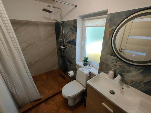 a bathroom with a toilet and a sink and a mirror at El Casita in Sibiu