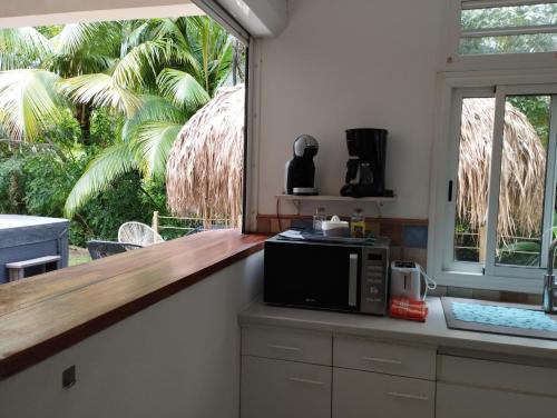 uma cozinha com um micro-ondas num balcão com uma janela em Logement 4 à 6 personnes avec Jacuzzi em Les Trois-Îlets