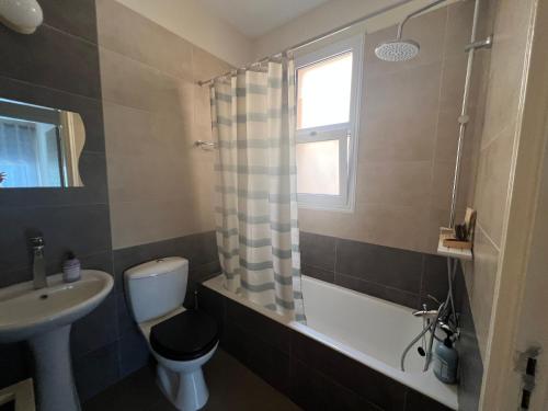 uma casa de banho com um lavatório, um WC e um chuveiro em Sea-View Eco-Apartment B110 em Pólis