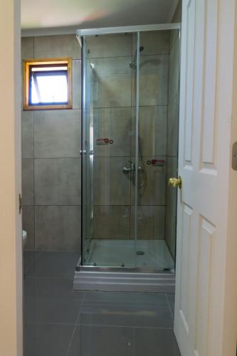 a shower with a glass door in a bathroom at Cabaña Alto Arrayán in Pucón