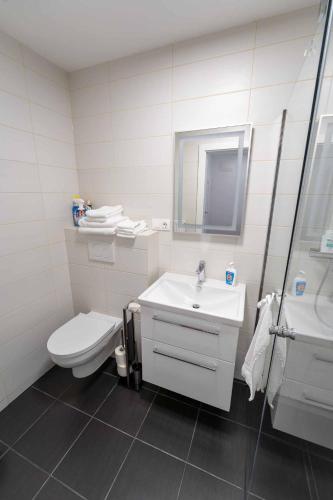 Koupelna v ubytování Casa Rust