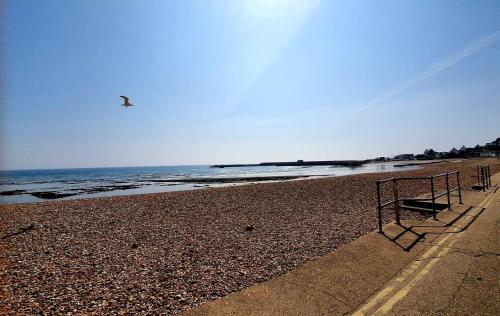 a beach with benches and a bird flying over the ocean at Jasper Apartment in Lyme Regis