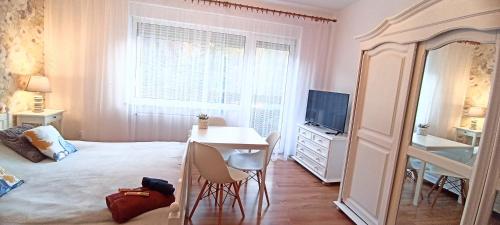 Schlafzimmer mit einem Bett, einem Schreibtisch und einem TV in der Unterkunft Willa Jawor in Wisła