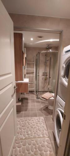 a bathroom with a shower and a washing machine at Cozy and warm just like at home, Free Parking in Langevåg