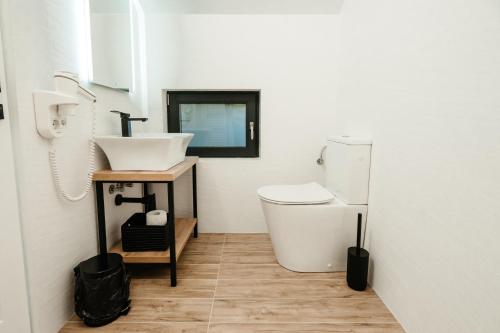 a bathroom with a sink and a toilet at Casa din livada in Dragomireşti