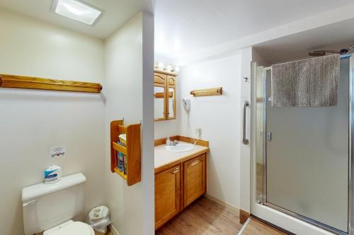 Joseph的住宿－60073 Wallowa Lake Hwy (lower unit)，浴室配有卫生间、盥洗盆和淋浴。