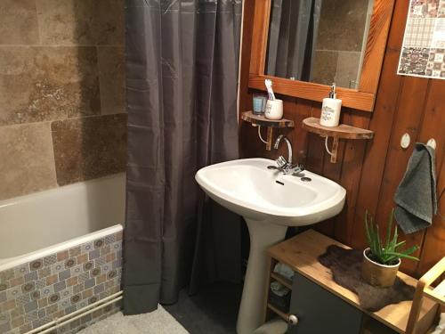 baño con lavabo y cortina de ducha en APPART 2 chambres DECO CHALET & VUE IMPRENABLE MONTAGNE en Font Romeu Odeillo Via