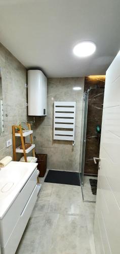 a bathroom with a shower and a sink at Studio apartmani Anika in Vrdnik