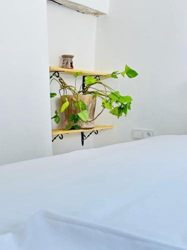 Gambar di galeri bagi Ocean Home di Essaouira
