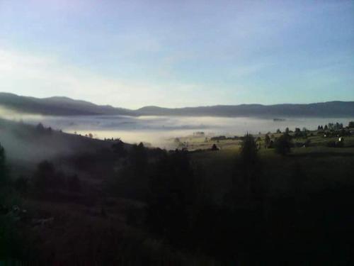 a view of a foggy valley with a field and trees at Cabana Gabriel Bucovina in Şaru Bucovinei
