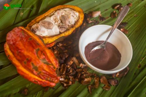 a close up of a papaya and a bowl of chocolate at Gaia Amazon Eco Lodge in Ahuano