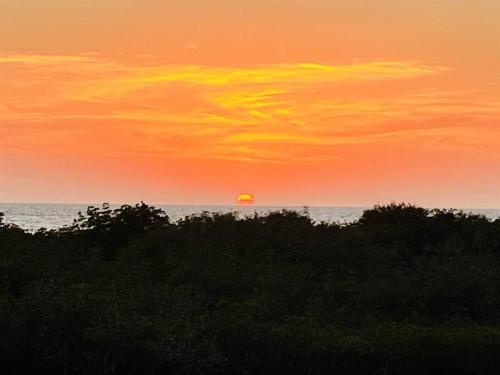 a sunset over the ocean with the sun in the horizon at Gorgeous vacation home on the water with heated pool and sand! in Hernando Beach