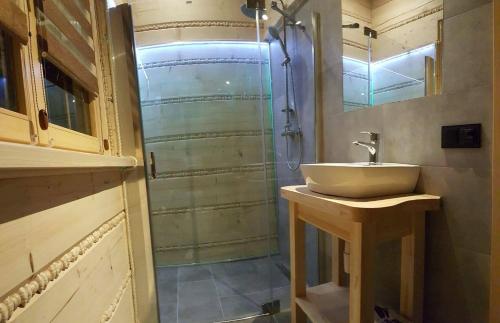 W łazience znajduje się umywalka i prysznic. w obiekcie Apartamenty Złoty Stok w Szczyrku