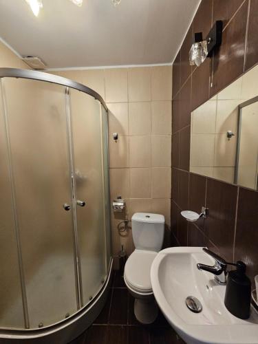 a bathroom with a shower and a toilet and a sink at Zawoja Nad Koroną z jacuzzi in Zawoja