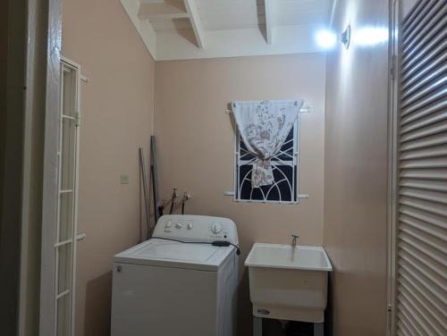 uma pequena casa de banho com uma máquina de lavar roupa e um lavatório em La Palmera em Saint Annʼs Bay