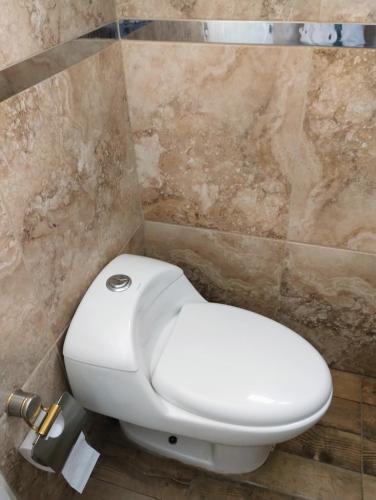 a bathroom with a white toilet in a tiled wall at Depto Civora 1 in Villa Regina
