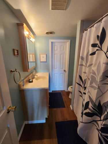 ein Bad mit einem Waschbecken und einem Spiegel in der Unterkunft New England Lakefront Oasis (shared w/ owner) in Goffstown
