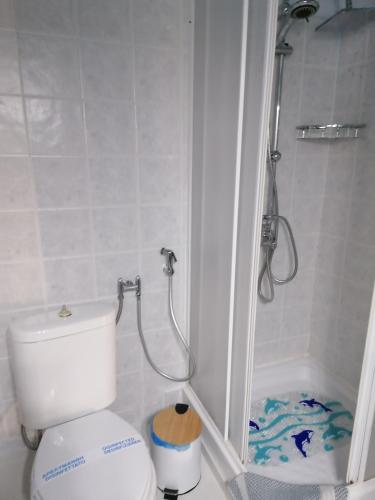 a small bathroom with a toilet and a shower at Villa Evmenia Panoramic sea view & Sea front apartments in Skopelos Town