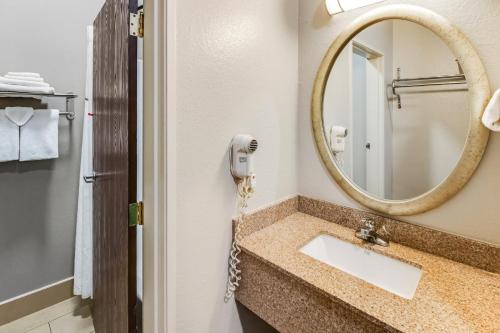a bathroom with a sink and a mirror at Red Roof Inn Springfield, OH in Springfield