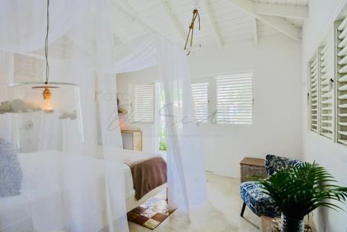 ein weißes Schlafzimmer mit einem Bett und einer Topfpflanze in der Unterkunft non disponible in Las Terrenas