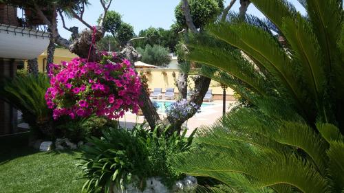 un giardino con fiori rosa in un cortile di Alba Chiara ad Anzio