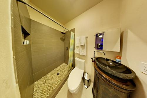 a bathroom with a toilet and a sink at Luxury Tiny House in San Diego