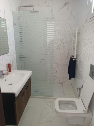 a bathroom with a shower and a toilet and a sink at Dar NZ in La Marsa