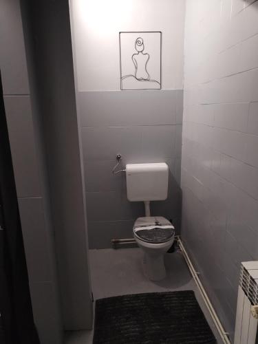 a small bathroom with a toilet and a light at Skitnica C.Chaplin in Koprivnica