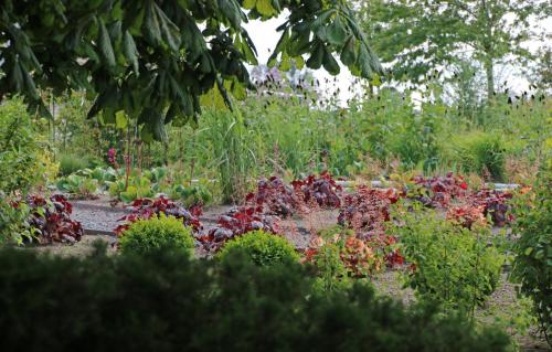 a garden with many different types of plants at Örums Nygård Gårdshotell in Löderup