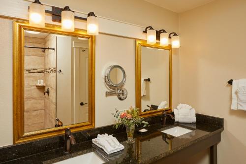y baño con lavabo y espejo. en Carter Creek Winery Resort & Spa, en Johnson City