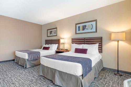 a hotel room with two beds and two lamps at Best Western Plus Bayside Hotel in Oakland
