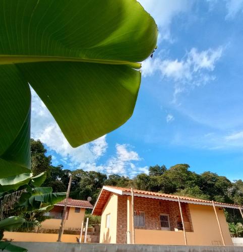 a large green leaf in front of a house at Cabanas Privativas com Jacuzzi, Cozinha, Churrasqueira e Decoração - Sitio Pauletto in Jarinu