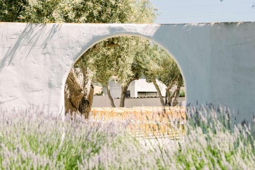 Κήπος έξω από το Hacienda de Leal - BW Signature Collection