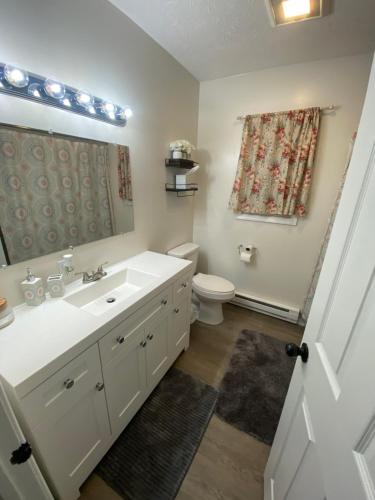 La salle de bains est pourvue d'un lavabo blanc et de toilettes. dans l'établissement Home in Tobyhanna, Poconos Mountain, Pennsylvania, à Tobyhanna