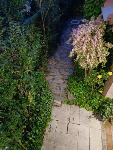 Κήπος έξω από το Casaantivero boutique,casa de huéspedes