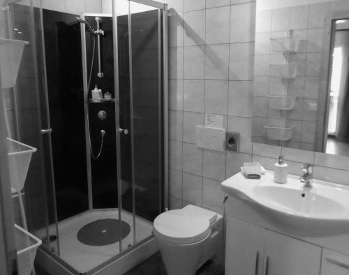 a bathroom with a shower and a toilet and a sink at Hotel Harmony Tigilou Belalp in Belalp