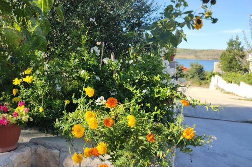 Gallery image of Apartments with parking space Rtina - Miocici, Zadar - 22001 in Ražanac