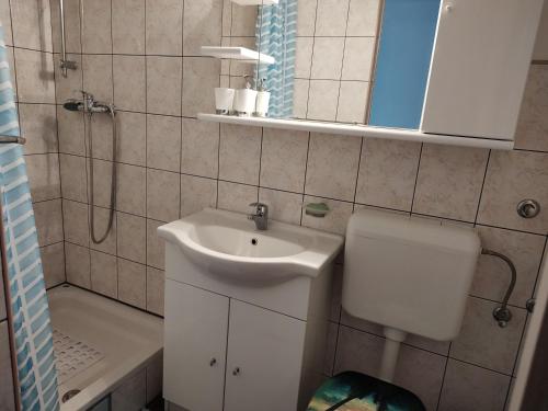 uma casa de banho com um lavatório e um chuveiro em Apartments with a parking space Rtina - Miocici, Zadar - 22001 em Ražanac