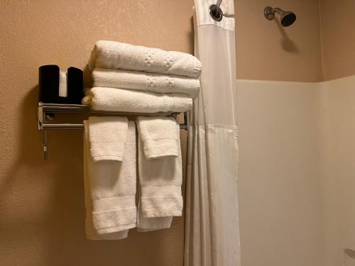 Koupelna v ubytování Econo Lodge Inn & Suites Walnut