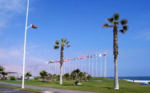 una fila de palmeras en un parque con banderas en Departamento en Playa Brava Iquique 1 dormitorio 1 baño, en Iquique