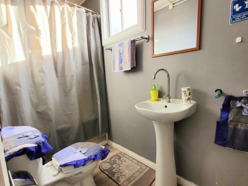 Un baño con lavabo, ducha e inodoro. en Hospedaje los Alamos, en Osorno