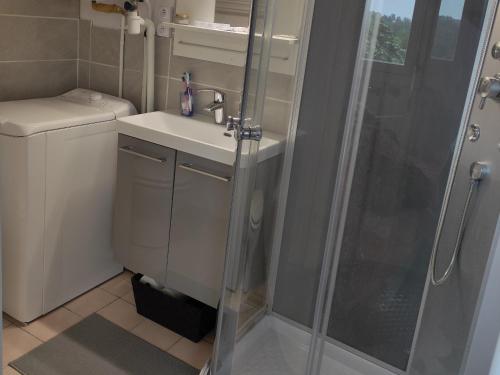 a bathroom with a sink and a shower at Appartement Villers-sur-Mer, 2 pièces, 4 personnes - FR-1-712-73 in Villers-sur-Mer