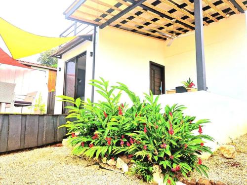casa solola – Photos 2