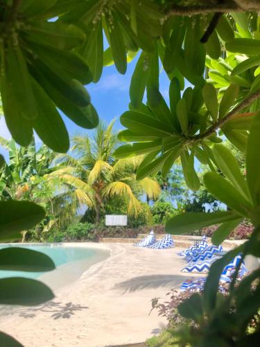 a beach with blue lounge chairs and palm trees at Wae Molas Hotel in Labuan Bajo