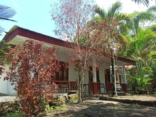 a house with trees in front of it at Tangkoko Jungle Homestay in Rinondoran
