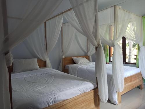 two beds in a bedroom with white drapes at Tangkoko Jungle Homestay in Rinondoran