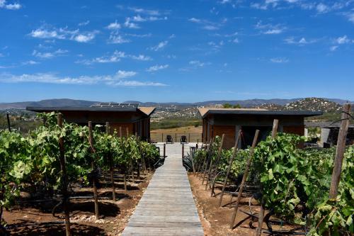 Paisaje cerca de este bed & breakfast